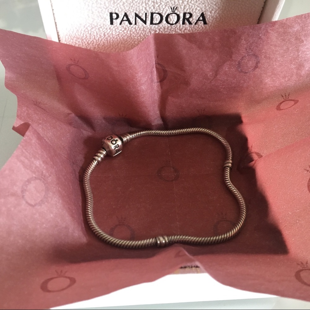 Pandora Moments Snake Chain Bracelet